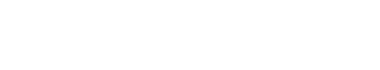 Pecan POS Logo